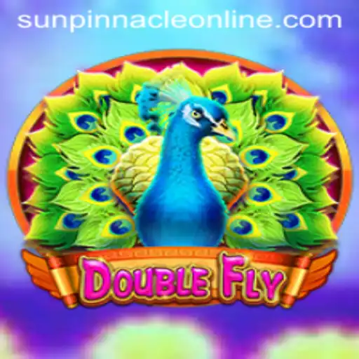 DoubleFly: A New Era in Gaming with SunPinnacle